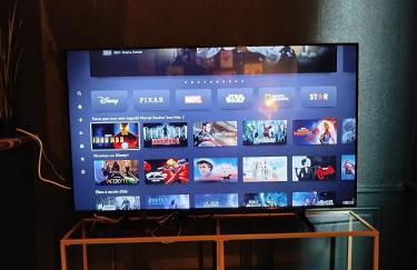 Nancy Vieille ville Stanislas - Foto 31