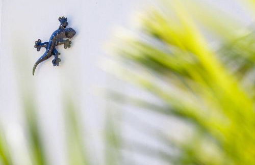 La Résidence Salamandre idéal couples & familles grands studios à Saint-Marc-sur-mer à 500m des plages proche de La Baule - Foto 30