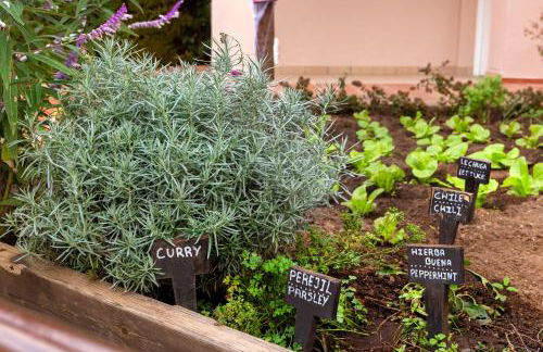 Los Amigos Beach Club - Photo 82