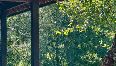 Aveleira EcoCasa - Foto 2