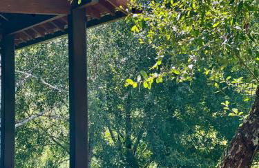 Aveleira EcoCasa - Foto 2