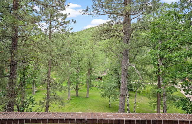 Brookview Place 4BR Near Mount Rushmore - Photo 33