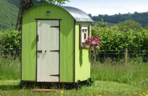 Cwt Cwtshlyd - Photo 8