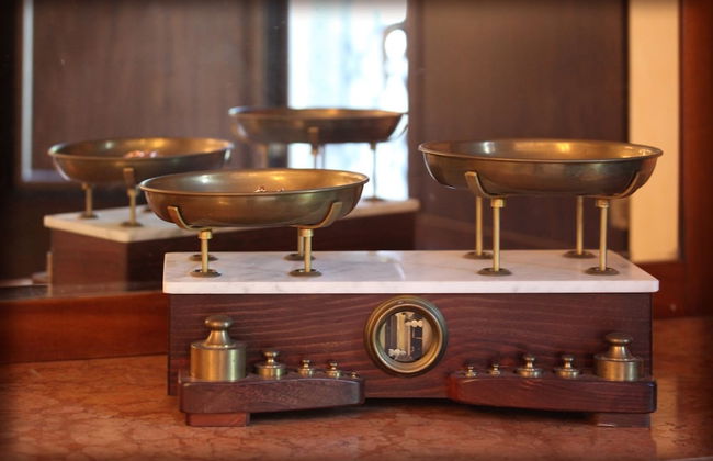 The Garden in the City Center - Foto 7