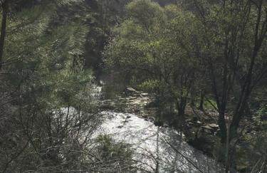 Casa do Volfrâmio - Foto 54