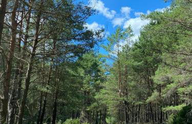 Lasy Jeziora, Cisza i Spokój, Grzybki i Rybki, Dom 180m2 w Swornegacie nad jeziorem Karsińskim - Foto 16