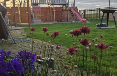 Entspannung auf dem Land - Foto 14