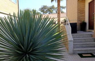 Living in a dream - Foto 46