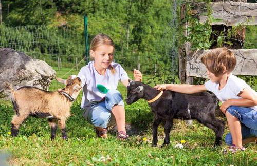 Bognerlehen Rupert Kurz - Foto 7