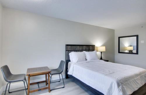 Near Hospitals and Dwtn Stylish Charlotte Studio - Foto 12