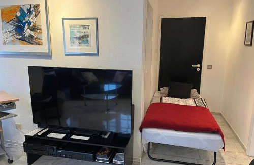 Excl Ferienwohnung im Dreiländereck D-F-CH mit beheiztem kl Pool zum Schwimmen und Massieren - Foto 43