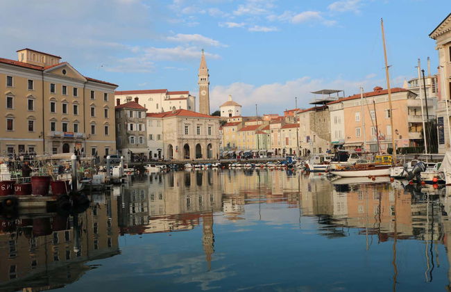 Piran & Slovenian Coast Tour - Photo 7