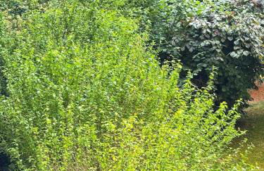 L Écrin de Neuilly - La Défense & Champs Elysées 10 min away - Foto 12