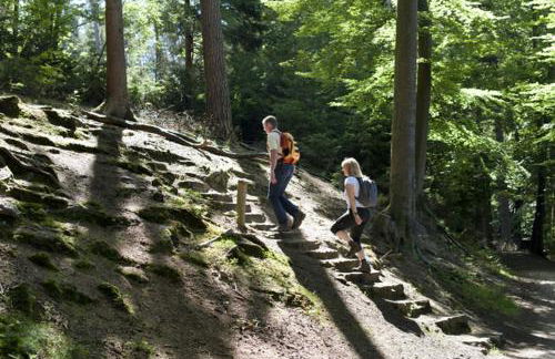 FeWo Charlotte - Foto 37