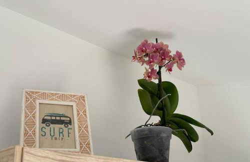 Studio Mer et Soleil avec Terrasse, en centre-ville, parking - Photo 16