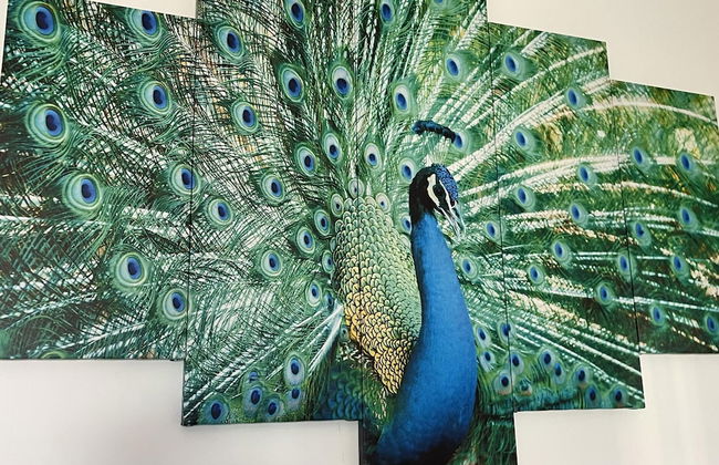 Penthouse 2-bed Apartment in Lido di Ostia - Foto 24