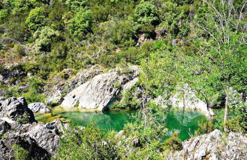La Montaurousienne - Maison néo-provençale dans le Pays de Fayence - Foto 21
