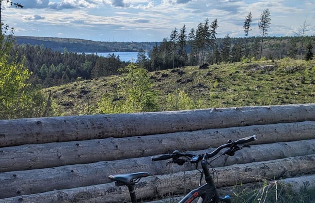 Apartment in Bad Wunnenberg Near Ski Willingen - Photo 23