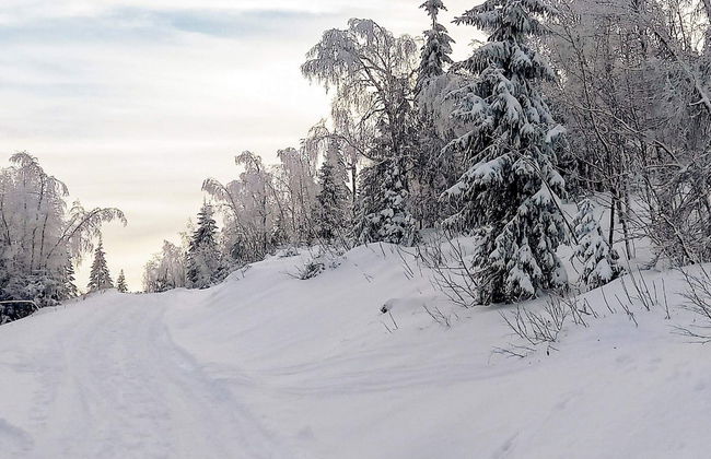 6 Person Holiday Home in Passebekk-by Traum - Photo 14