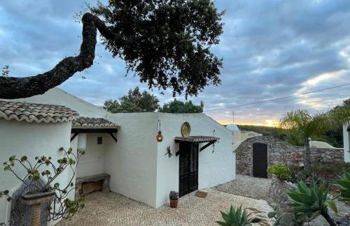 Monte Borboleta - Villas, Apartments - Foto 34