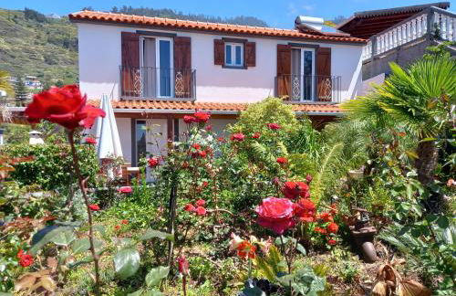 Tropical Garden - Photo 3