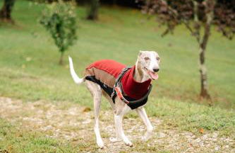 Casa da Assudra - Foto 79