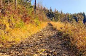 Apartament Telkom 2 - Foto 16