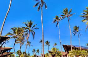 Dream Beach Cumbuco Superior Oceanfront Apartments - Photo 69