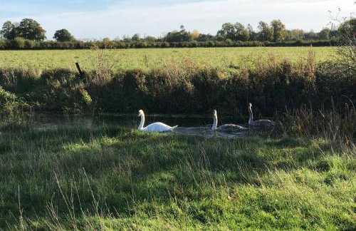 Stable Cottage, Old Mill Farm, Cotswold Water Park - Foto 33