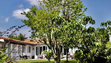 Flocon de Sel - Foto 3, Garden