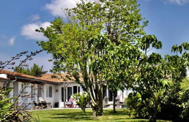 Flocon de Sel - Foto 3