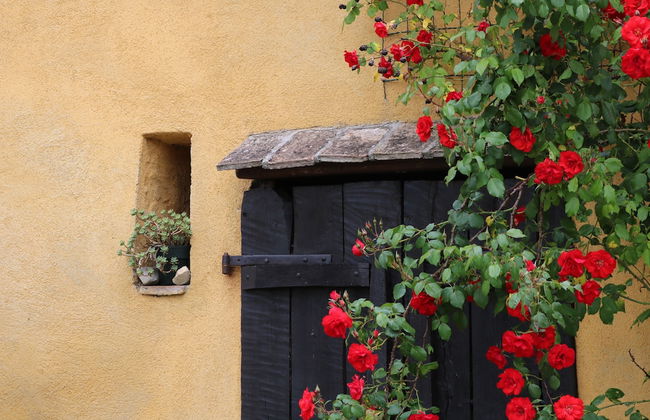 Casa Lisetta - Foto 30