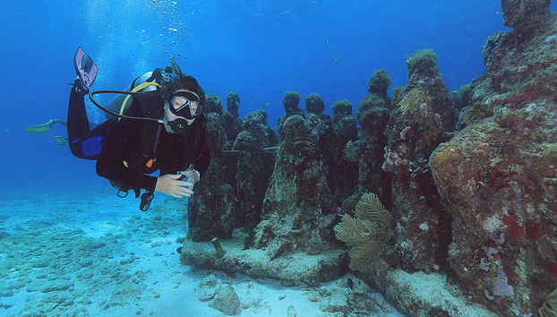 Nadando junto às esculturas marinhas