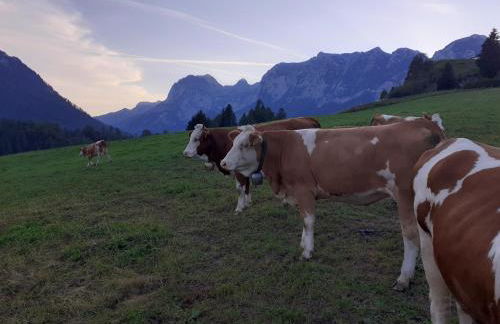 Klettnerlehen Ferienwohnung - Foto 19