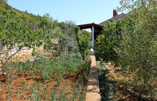 Apartments by the sea Brgulje, Molat - 6243 - Foto 22