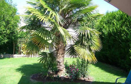 C' 1 comble - Foto 40