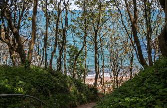 Watcombe Hideaway Romantic Coastal Retreat - Foto 8