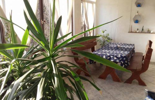 Apartments Martina - Foto 9