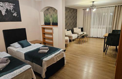 Virgo Apartments & Rooms Koleczkowo - Foto 29