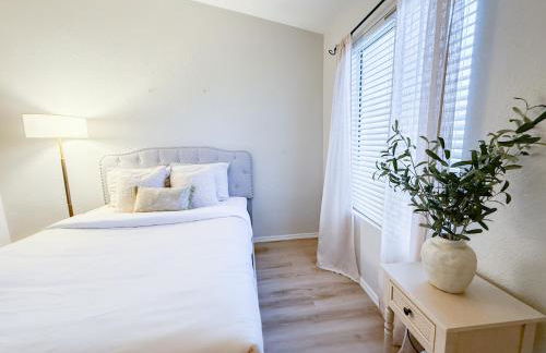 Cactus Bonito - Foto 38