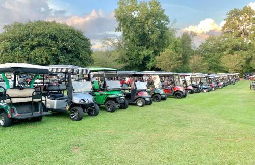 Cozy basement apartment - Foto 30