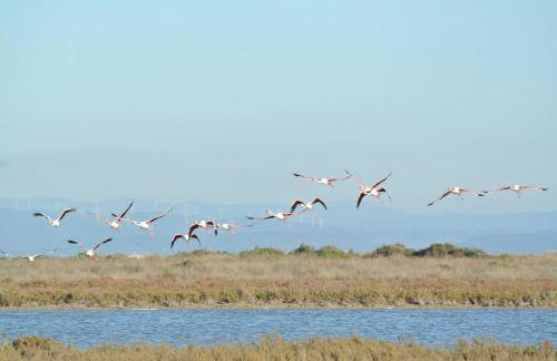 Casa L'ANGOLO FIORITO - Foto 24