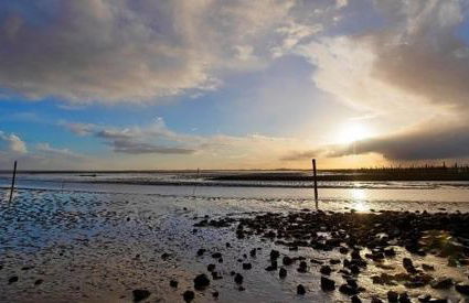 Ferienwohnung Kornew - Foto 68