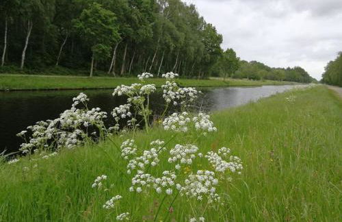 Ferienhaus im Moor - Foto 35