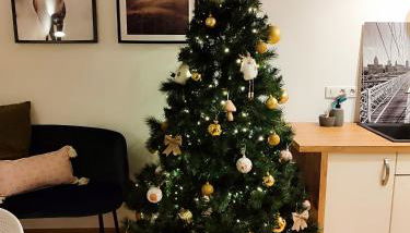 Le chaleureux loft 1 minute du tram - Foto 3