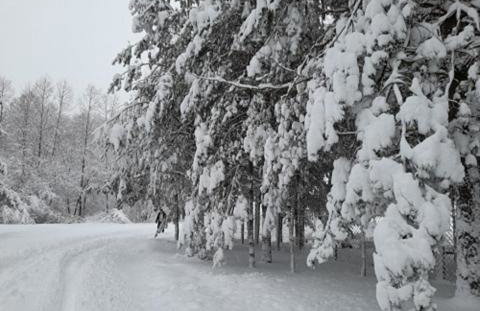 Drewniany Domek w Zakątku Andrzeje Śniczany 18 - Photo 34