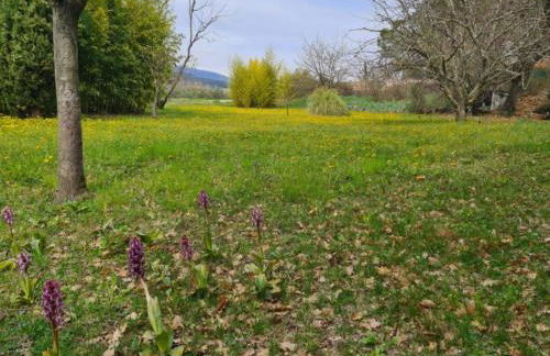 Villa Juliette - Foto 8