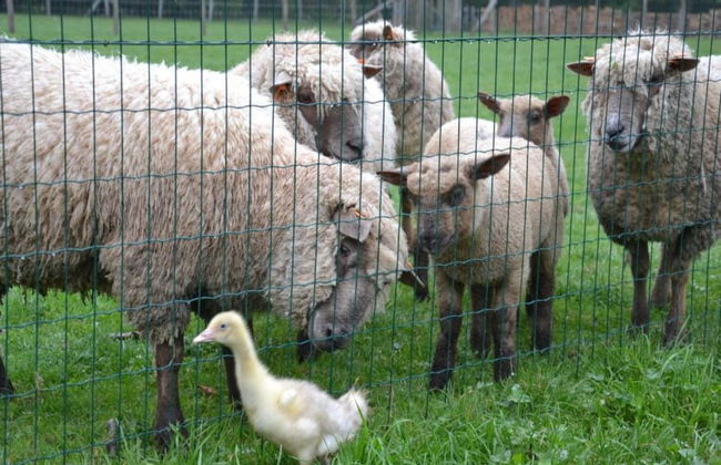 Cottage With Bubble Bath - Photo 26
