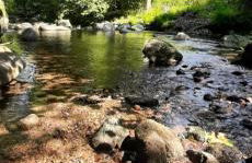 Aux Abords du Ruisseau - Foto 15