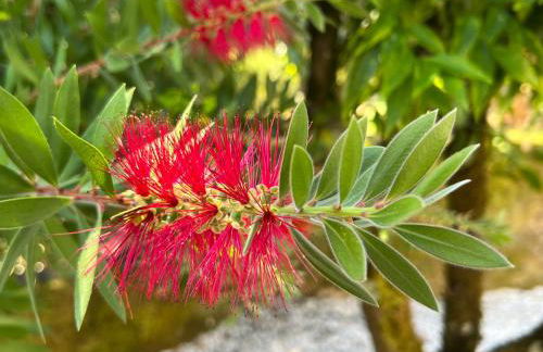 Casa Do Vale - Foto 20